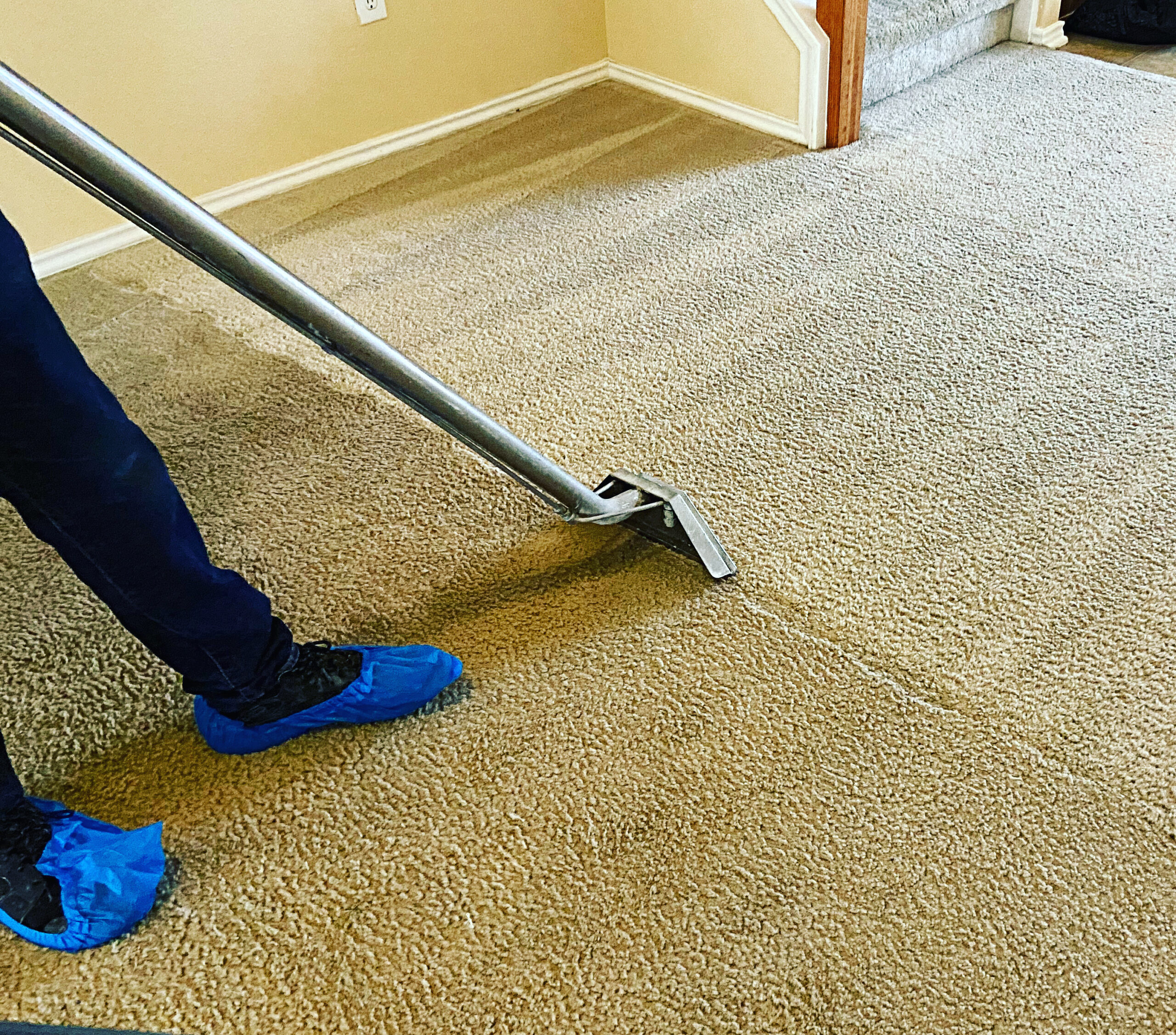 should you tip carpet cleaners