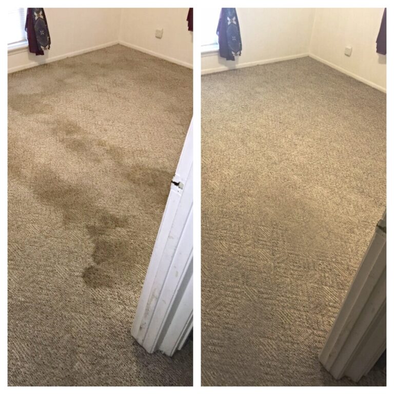 Pet urine stain carpet cleaning san antonio