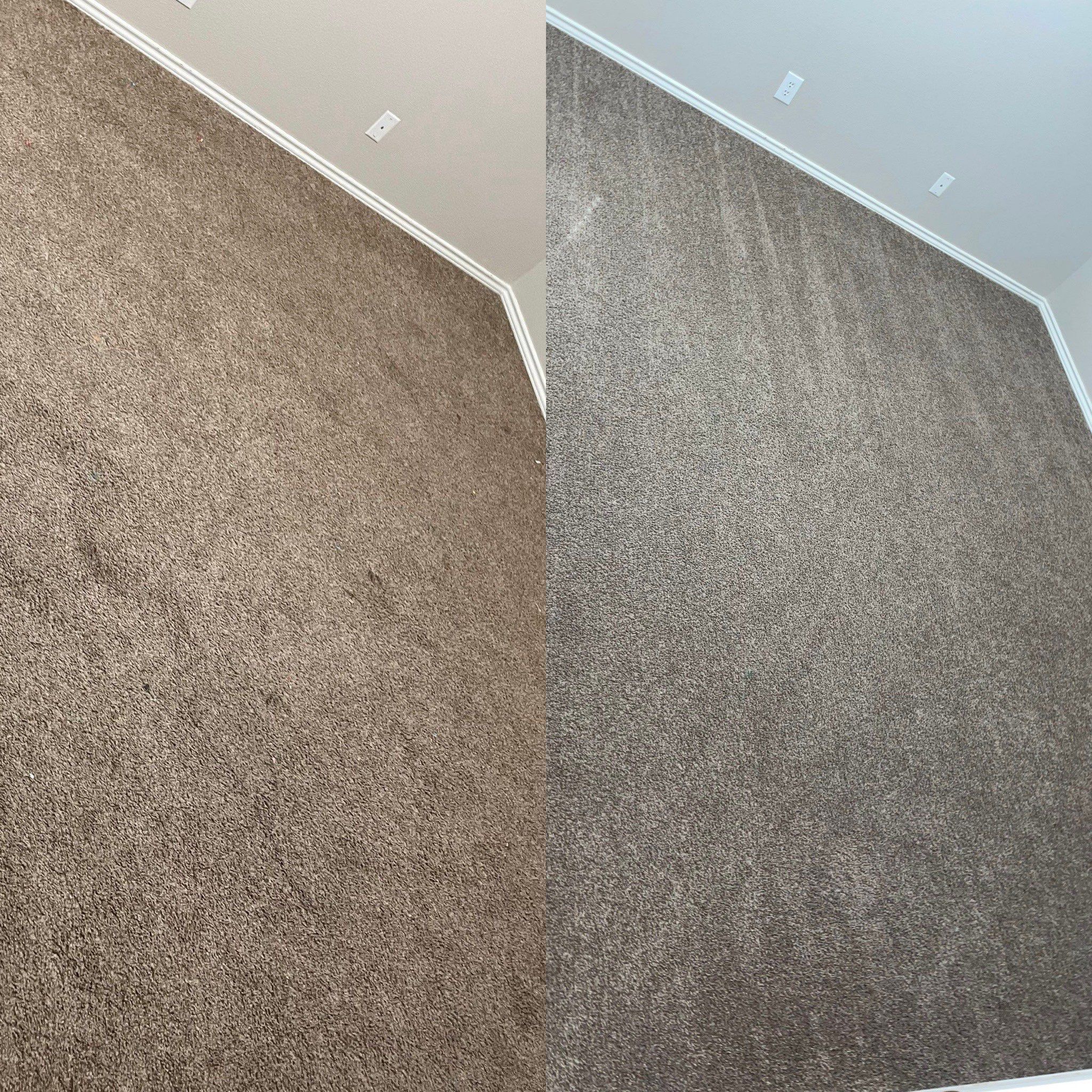 Deep Carpet Cleaning