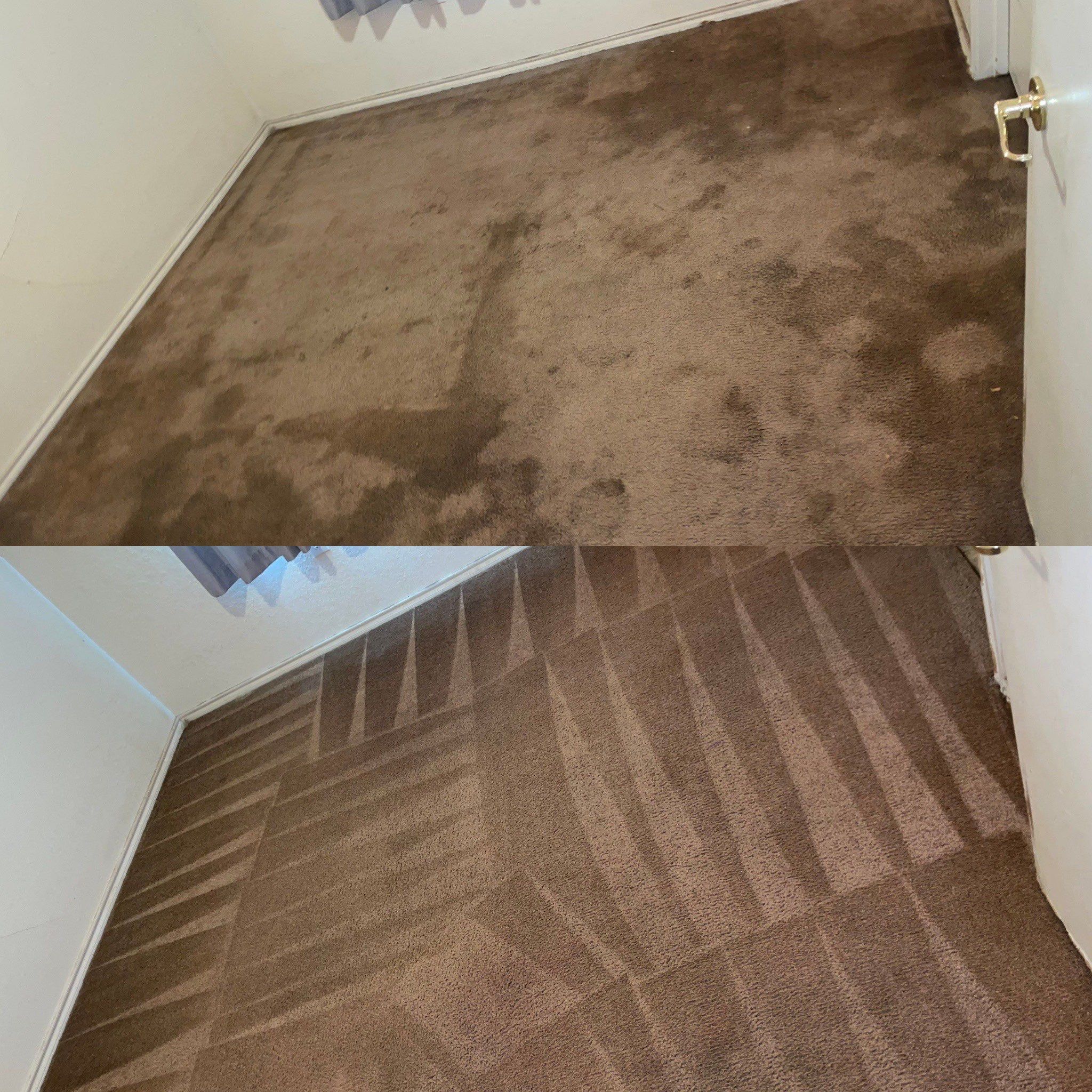 Deep carpet cleaning