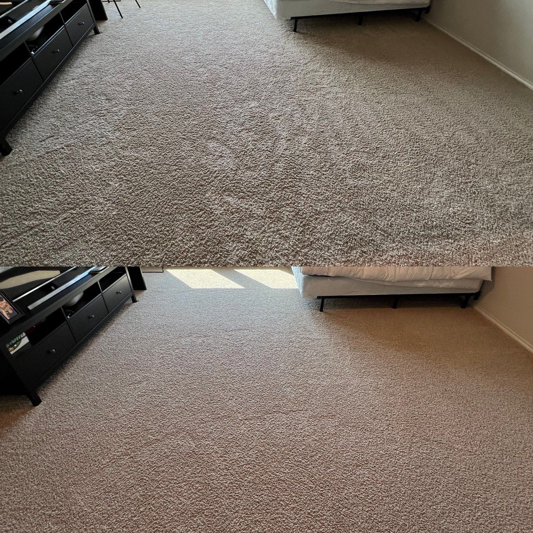 whole house carpet cleaning