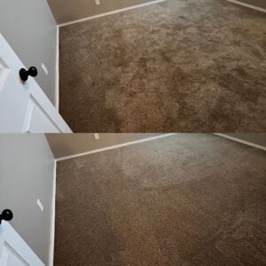 Whole House Carpet Cleaning Project in San Antonio TX 78253