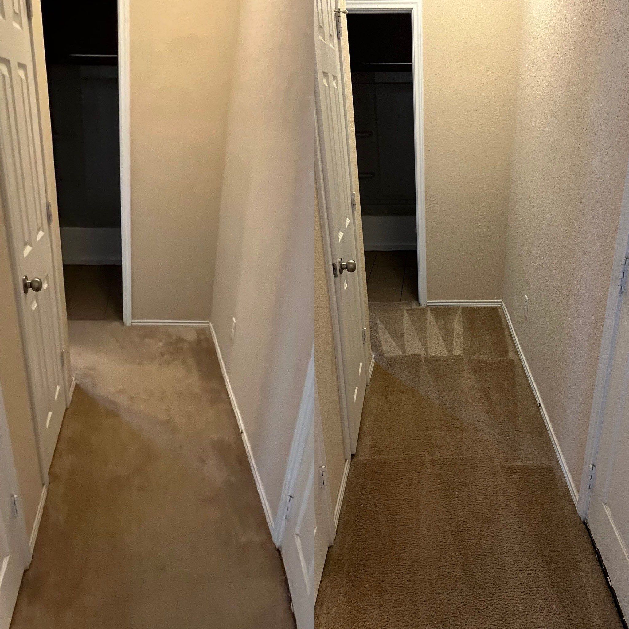 Deep Carpet Cleaning