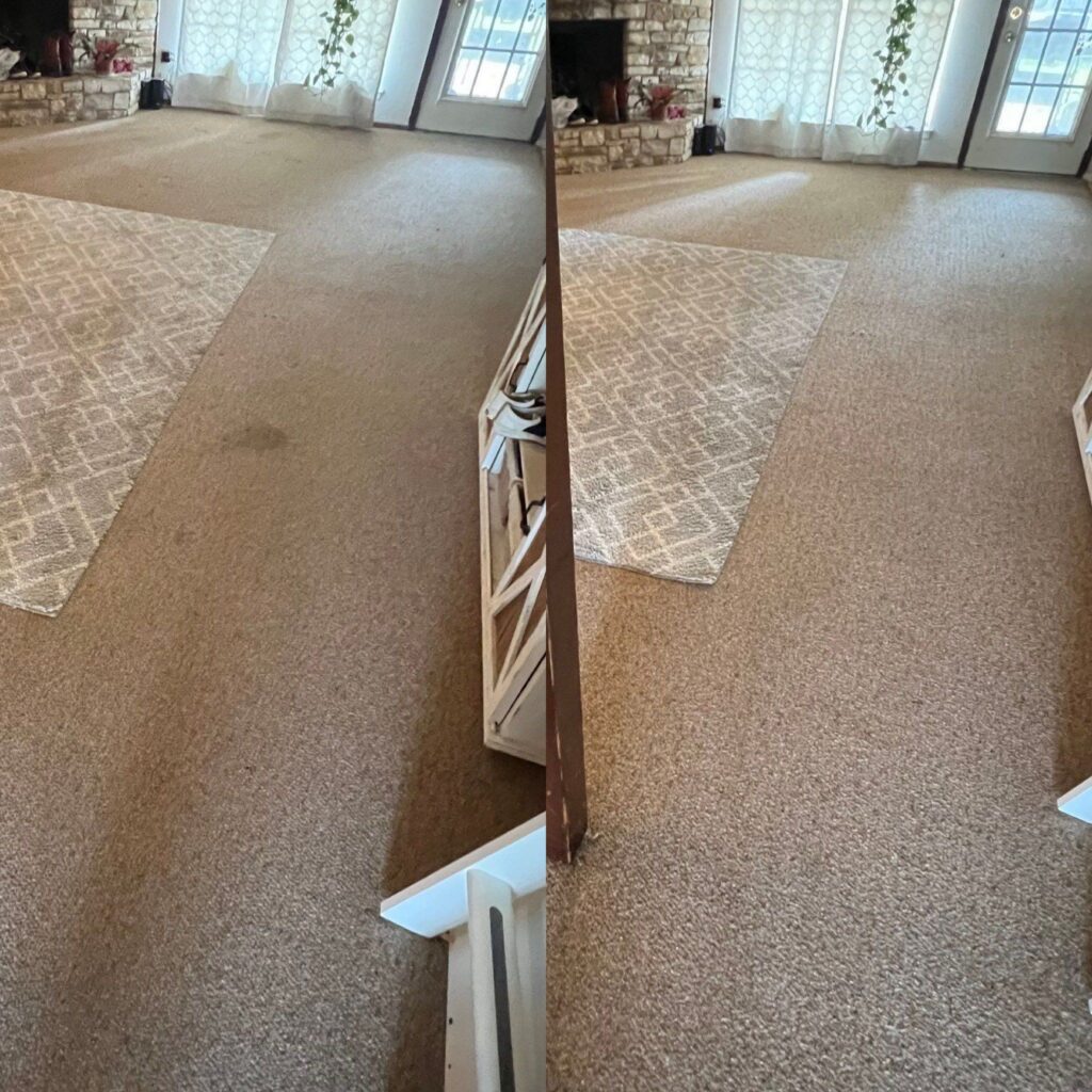 Area Rug Steam Cleaning