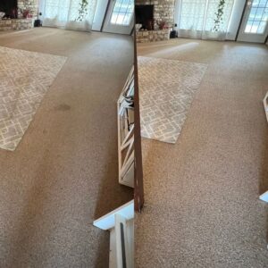 Area Rug Steam Cleaning