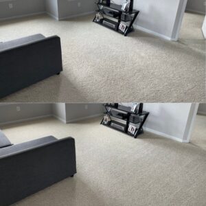 Living Room Carpet Clean