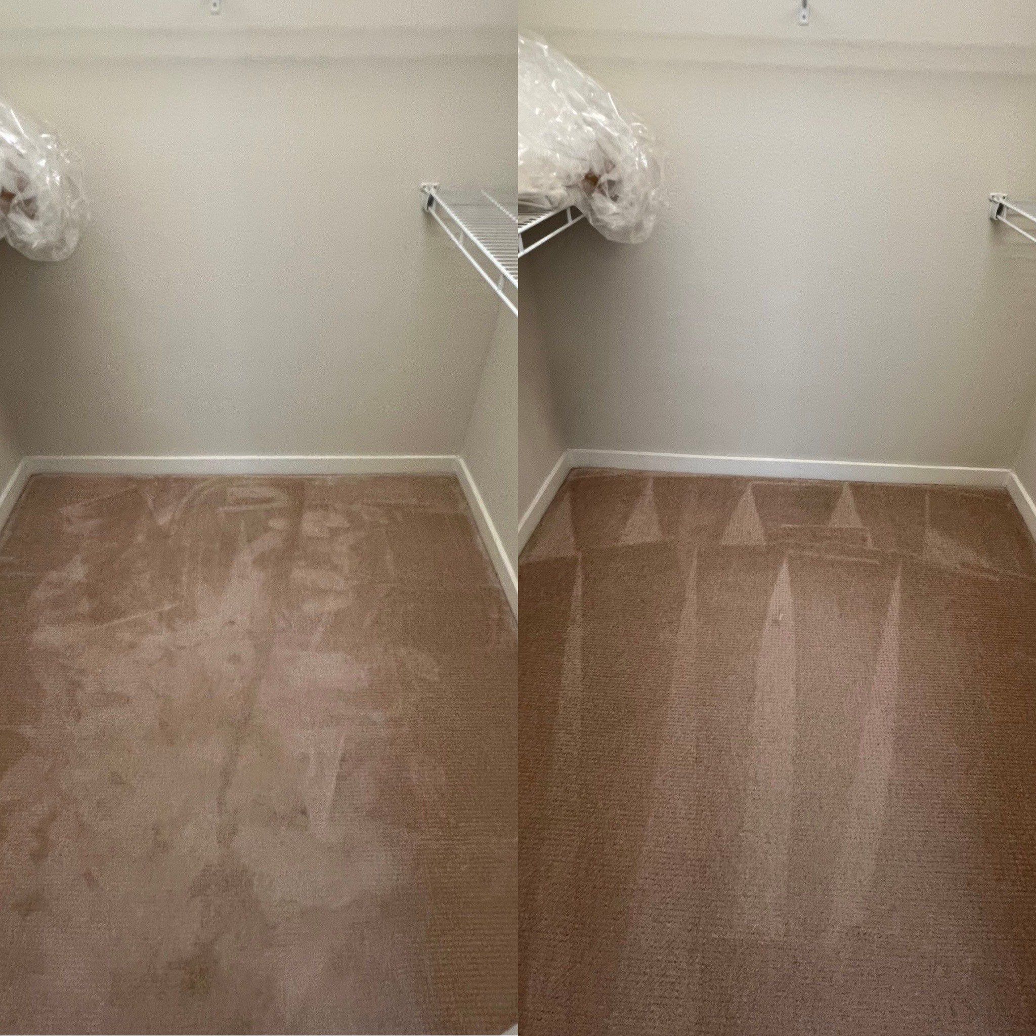 Deep Carpet Cleaning