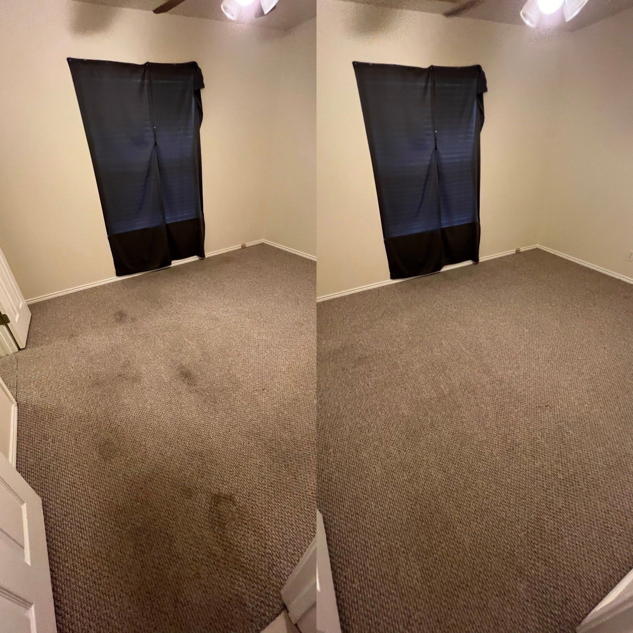 Whole House Carpet Cleaning