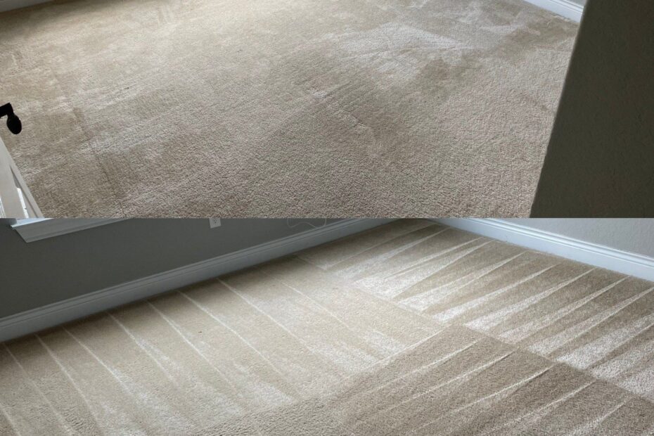 5 Star Carpet Deep Clean in San Antonio TX 78253