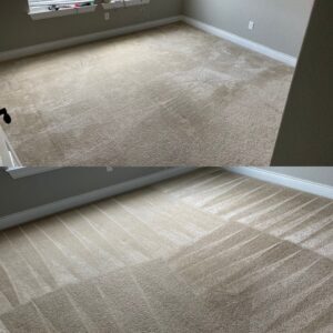 Carpet Deep Clean