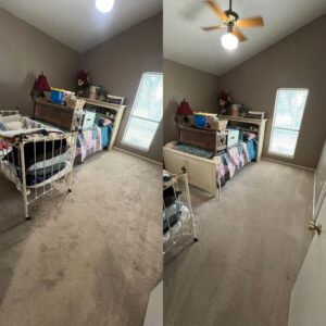 whole house carpet cleaning