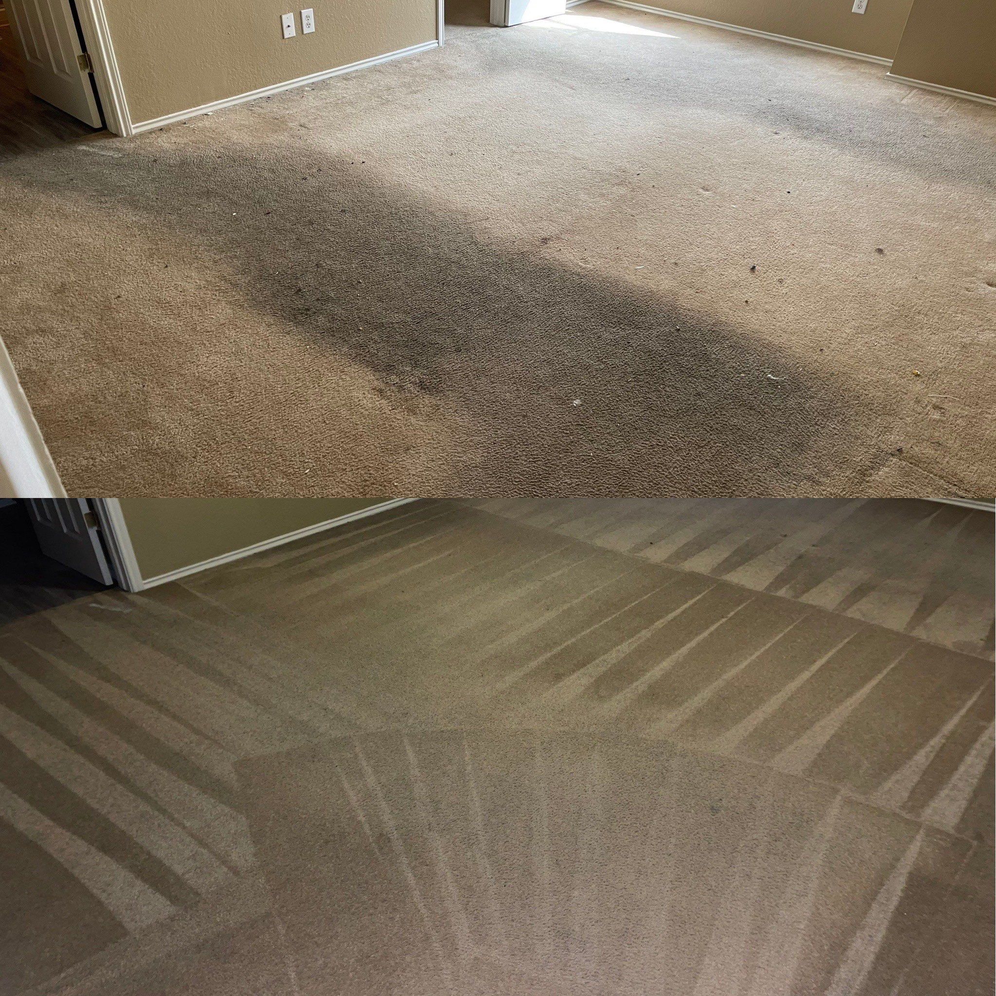 Whole House Carpet Cleaning