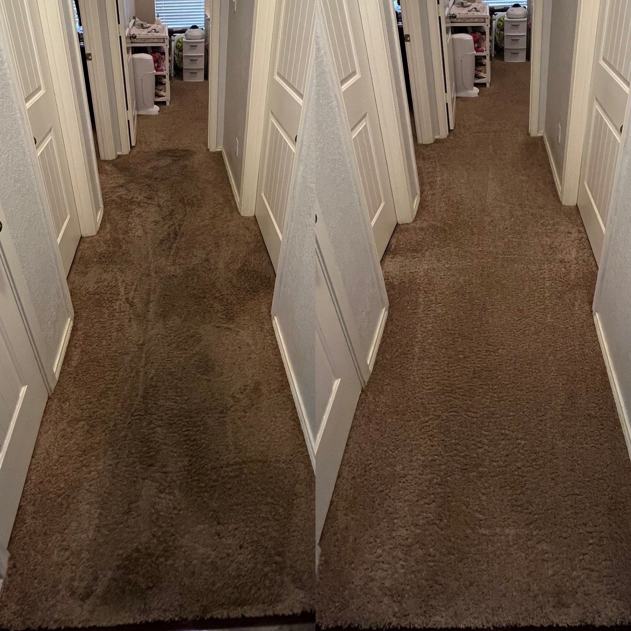 Whole House Carpet Cleaning