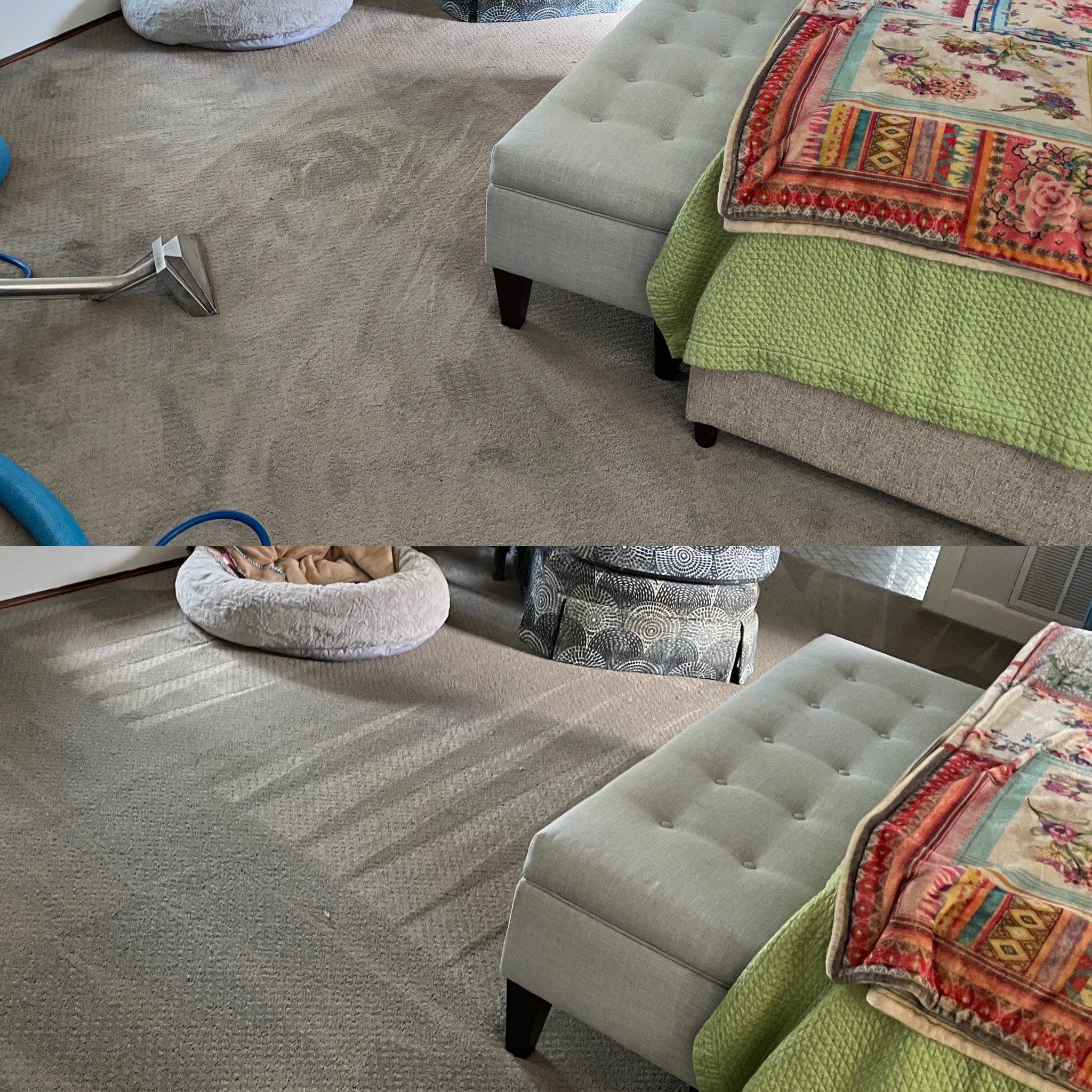 Carpet Cleaning Service