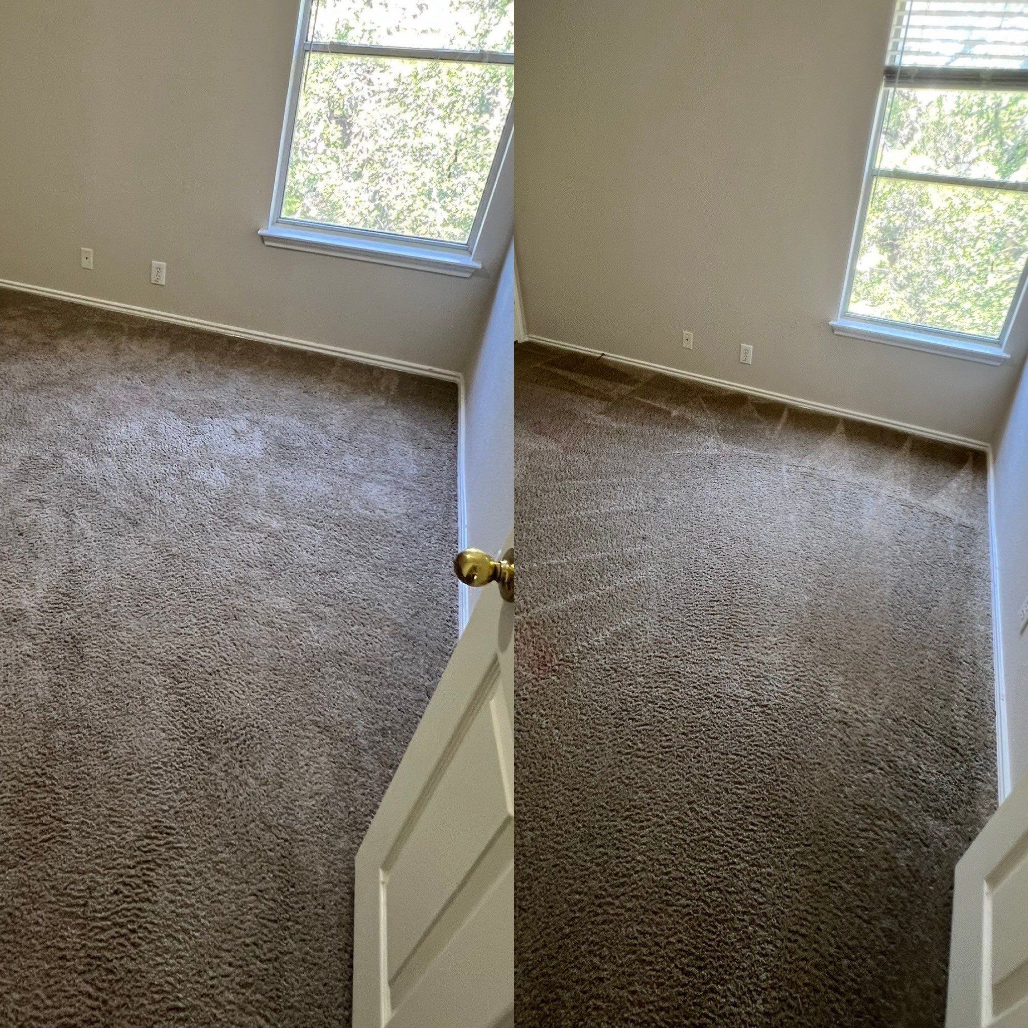 Whole House Carpet Cleaning