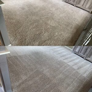 Deep Carpet Cleaning