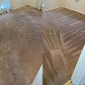 Whole House Carpet Cleaning Project in San Antonio TX 78239