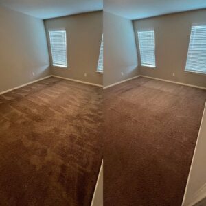 Whole House Carpet Cleaning Project in San Antonio TX 78222
