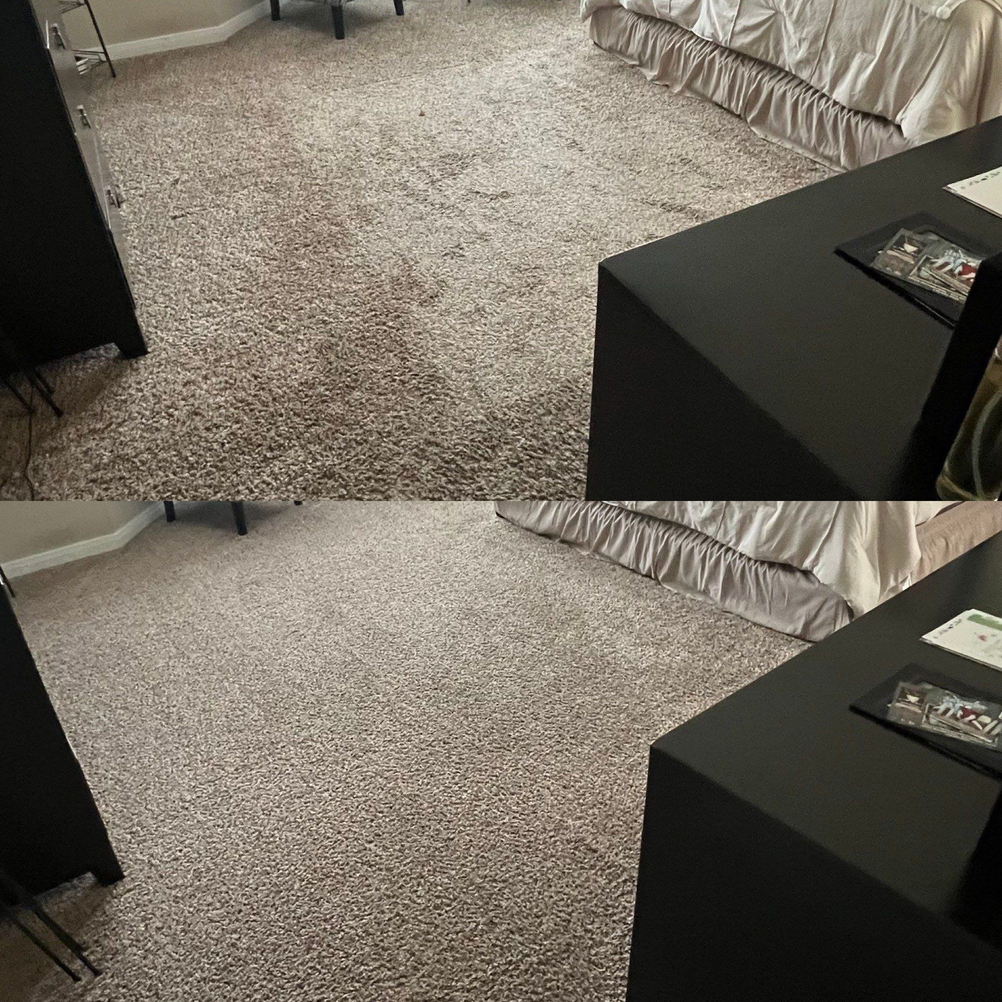 Whole House Carpet Cleaning Project in Converse TX 78109