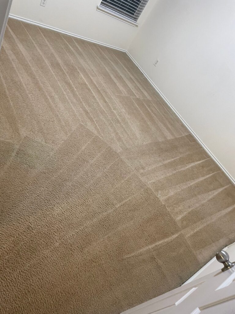 Area Rug Steam Clean Project in Schertz TX 78108