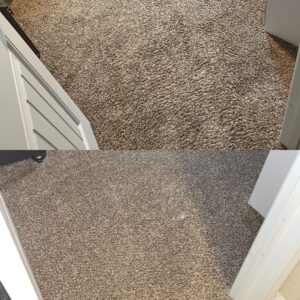 Area Rug Steam Cleaning Project in San Antonio TX 78253