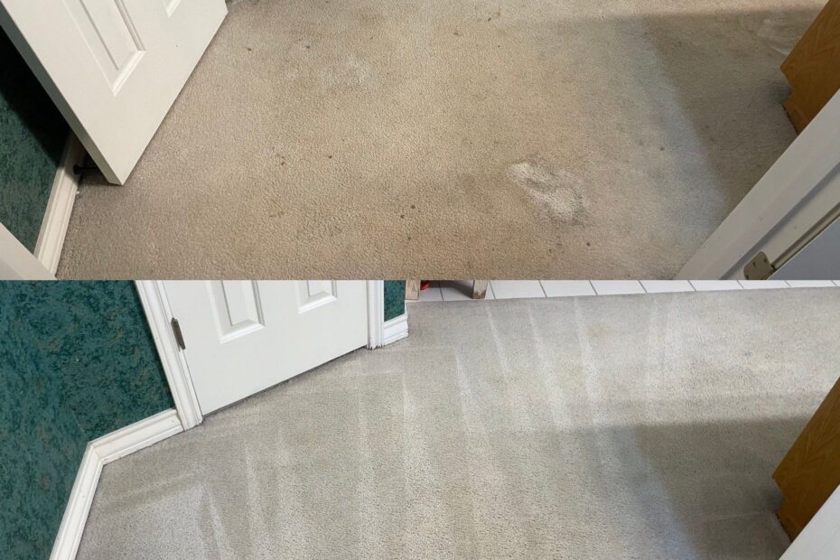 Area Rug Steam Cleaning Project in San Antonio TX 78260