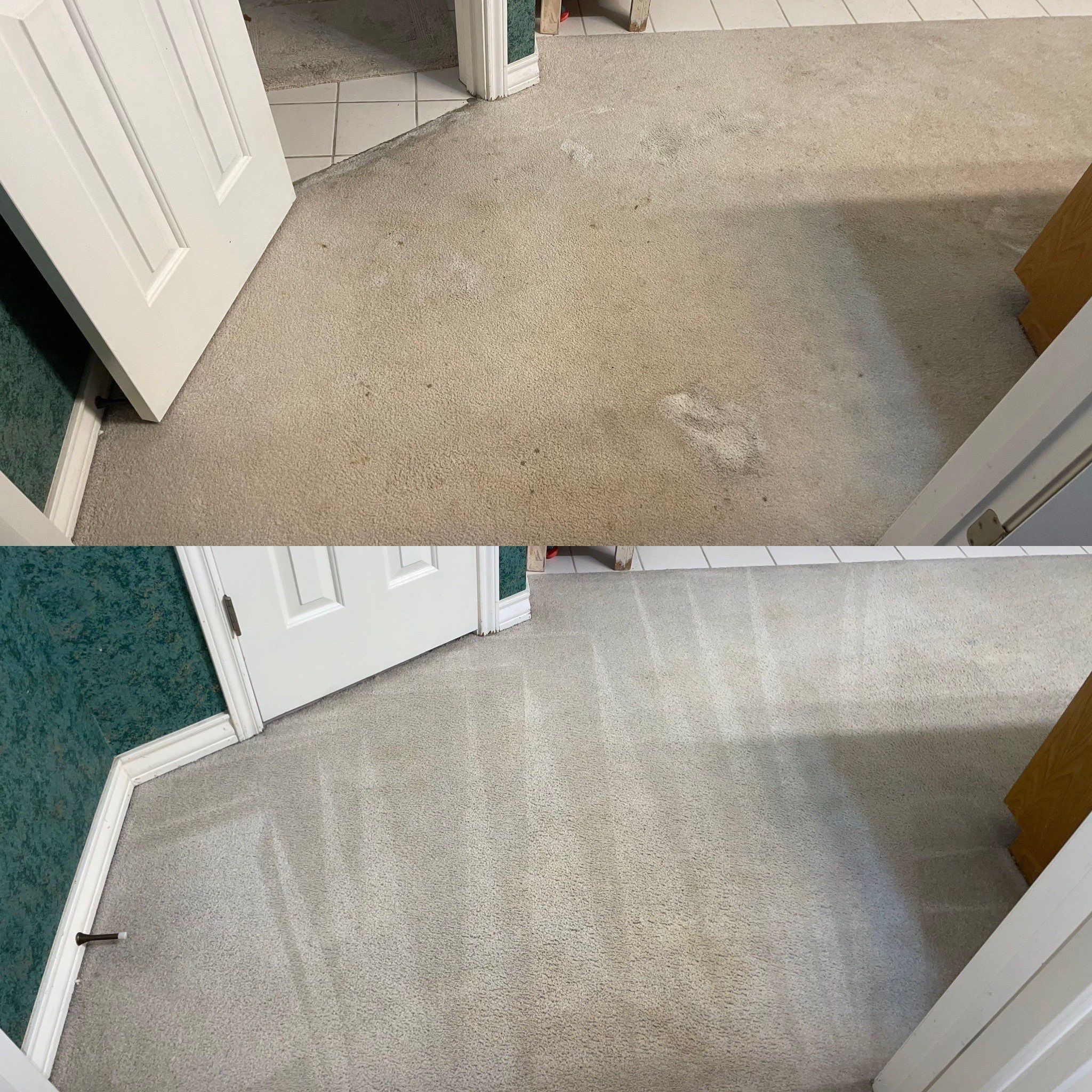 Area Rug Steam Cleaning Project in San Antonio TX 78260