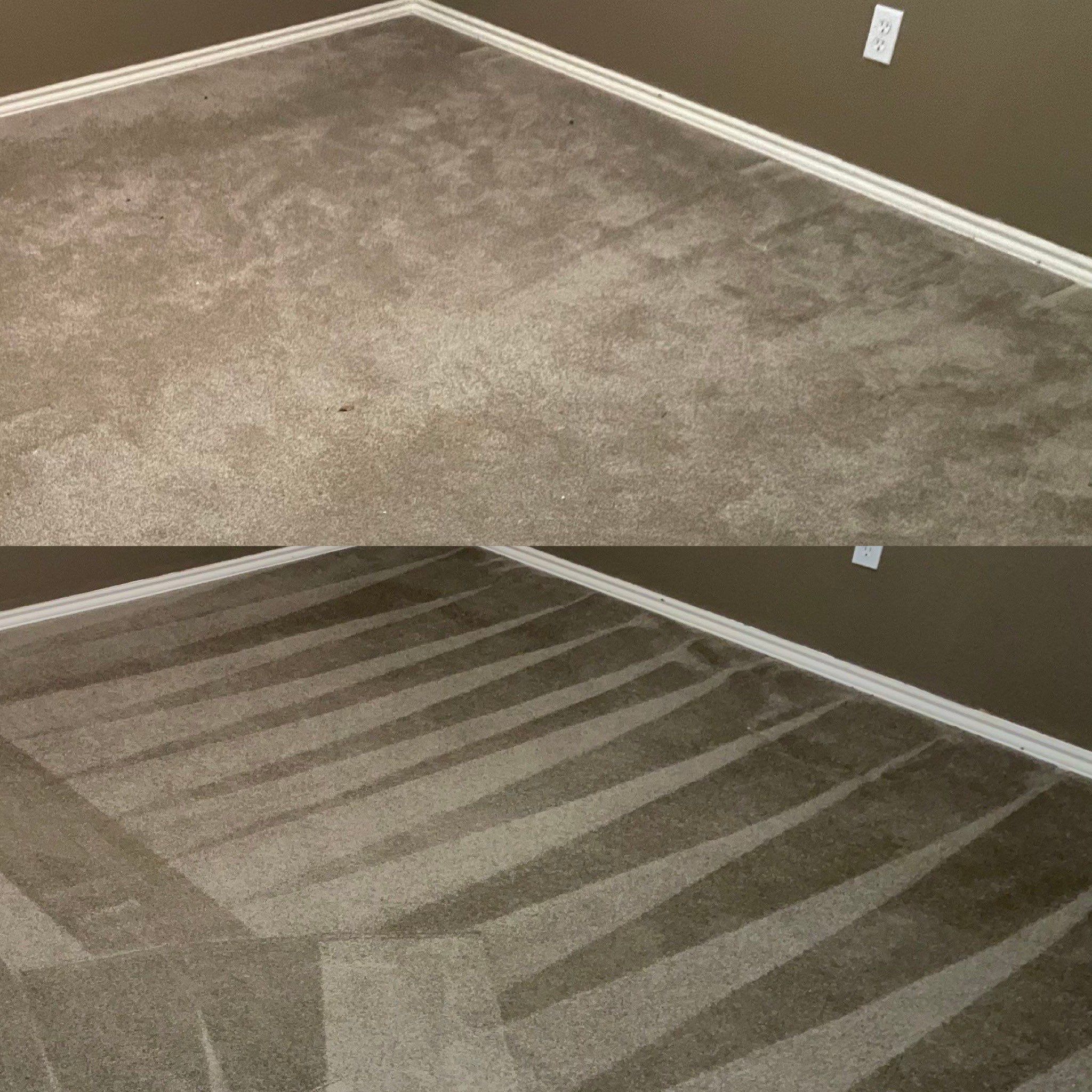 Carpet Cleaning Steam Cleaning Project in San Antonio TX 78258