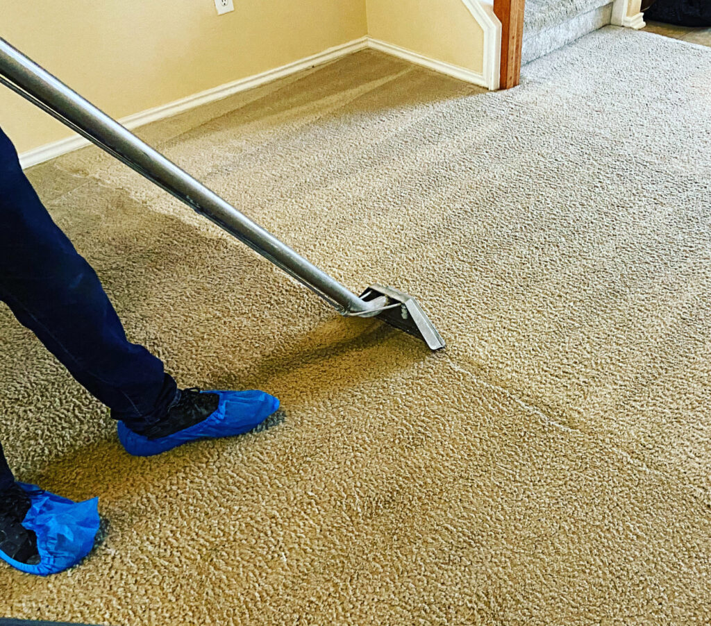 carpet cleaners san antonio