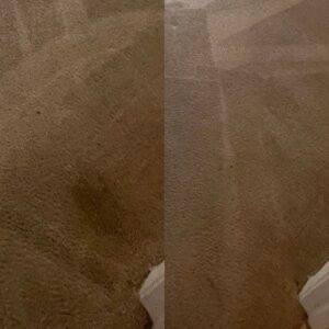 Drink Stain Steam Cleaning Project in San Antonio TX 78249