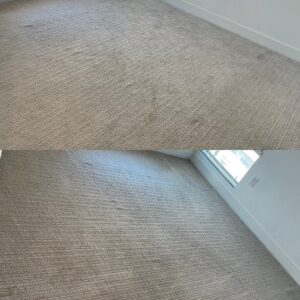 Area Rug Steam Cleaning Project in San Antonio TX 78218