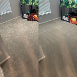 Whole House Carpet Cleaning Project in Cibolo TX 78108