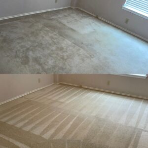 Whole House Carpet Cleaning Project in Converse TX 78109