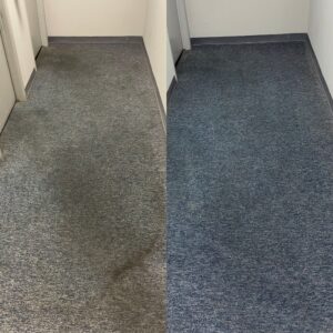 Hot Water Extraction Carpet Cleaning Project in San Antonio TX 78219