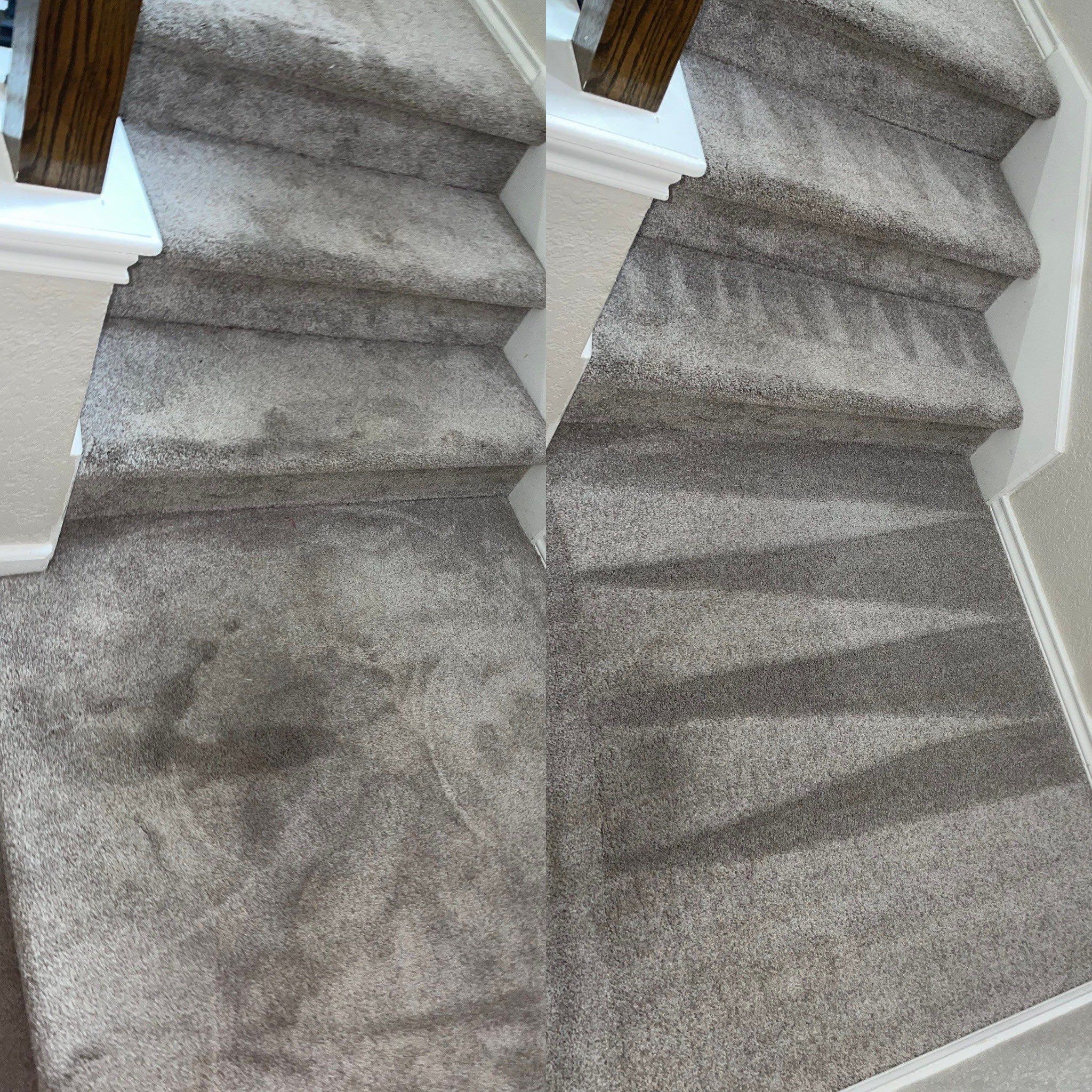 Carpet Cleaning Project in San Antonio TX 78259