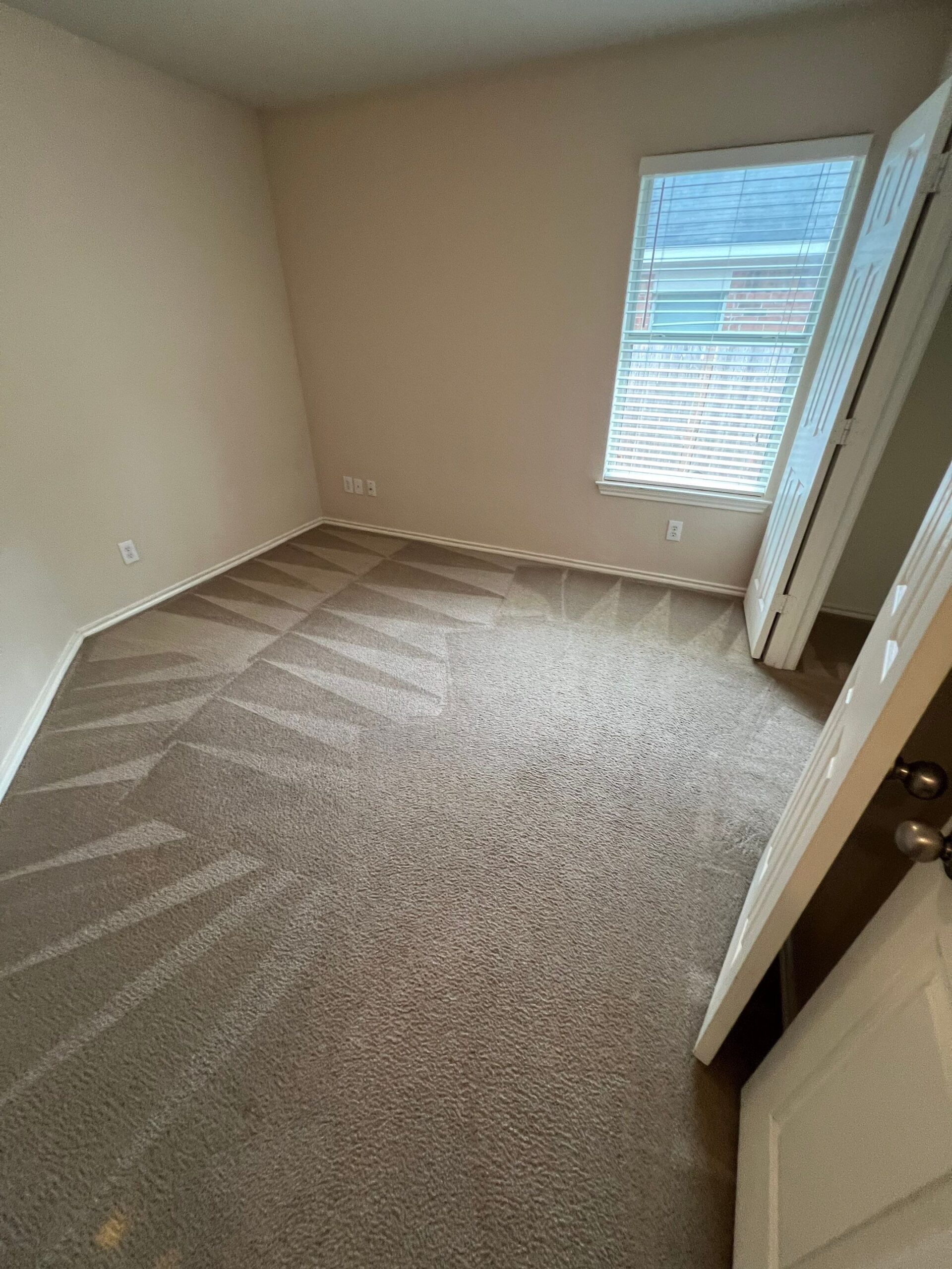 Cleaning Of Carpet Detailing Project in San Antonio TX 78250