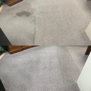 Drink Stain Carpet Restoration Project in Marion TX 78124