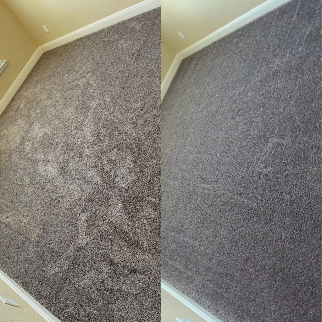 Hot Water Extraction Carpet Cleaning Project in