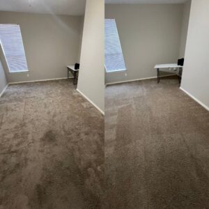 Carpet Cleaning Project in San Antonio TX 78253
