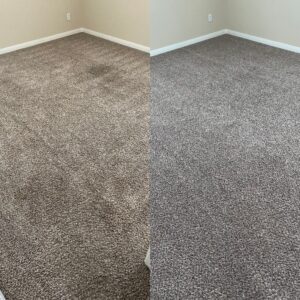 Drink Stain Steam Cleaners Project in Cibolo TX 78108