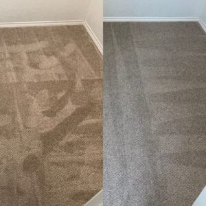 Hot Water Extraction Carpet Cleaning Project in