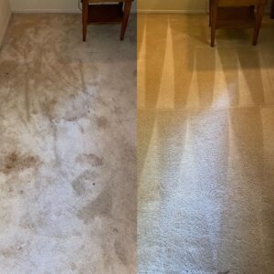 Drink Stain Cleaning Project in Helotes TX 78023