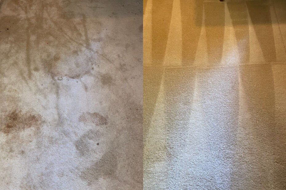 Area Rug Steam Cleaning Project in Helotes TX 78023