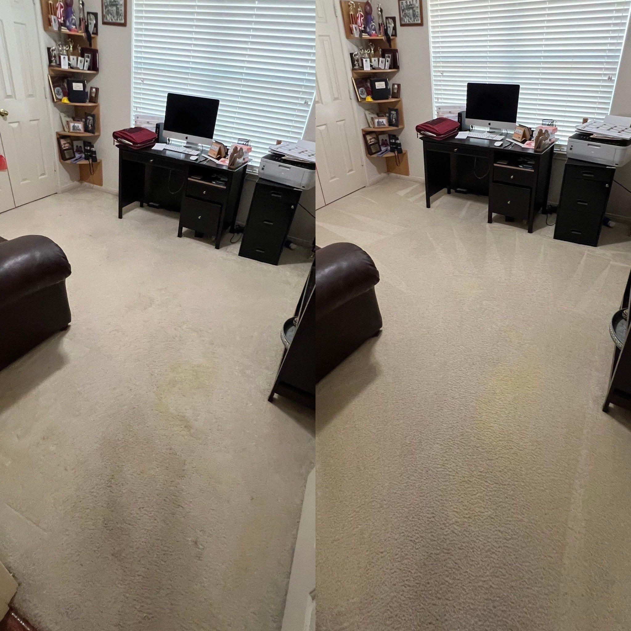 Pet Urine Carpet Cleaners Project in Floresville TX 78114