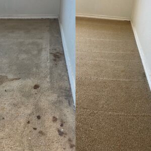 Pet Urine Carpet Restoration Project in San Antonio TX 78245