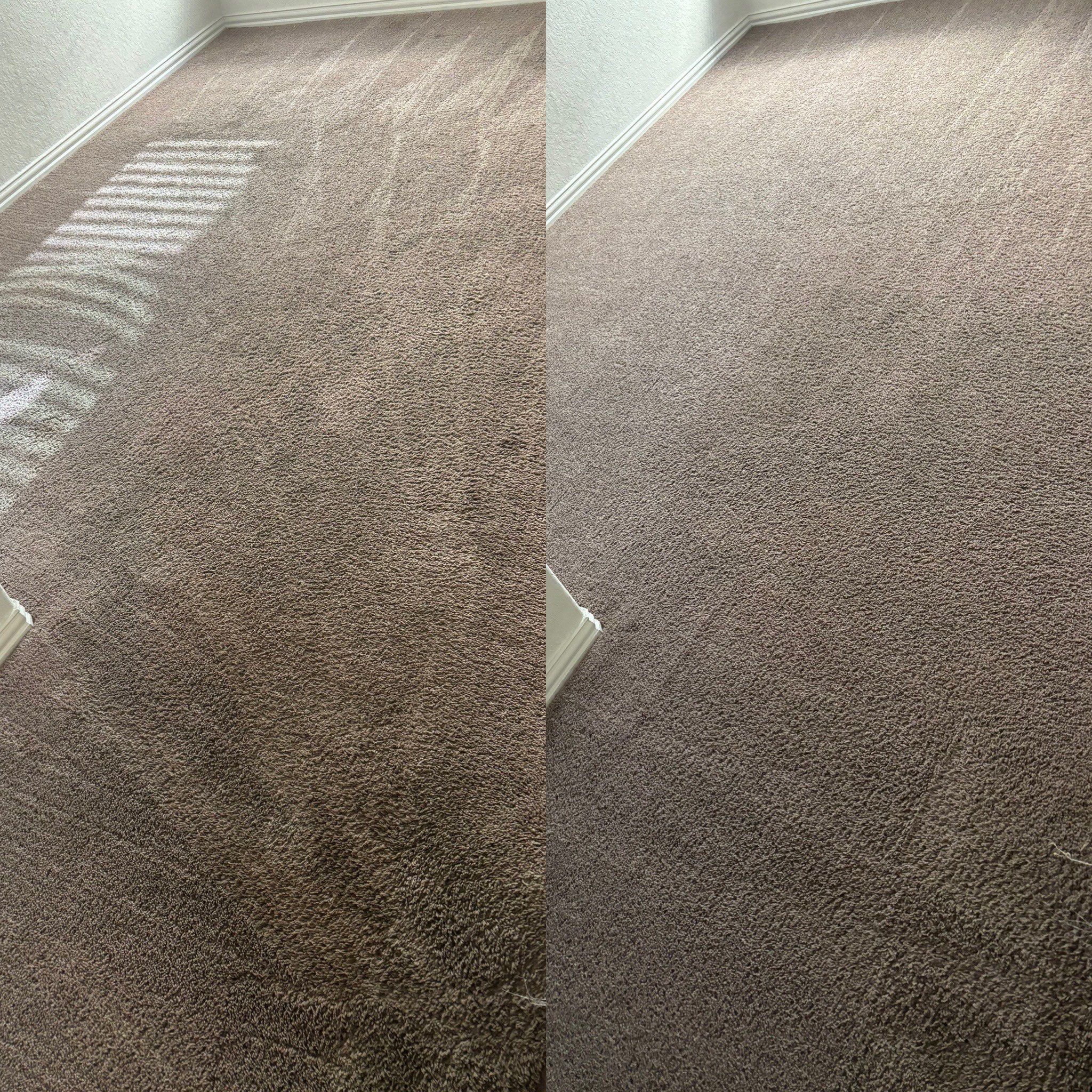 Carpet Cleaning Project in San Antonio TX 78258