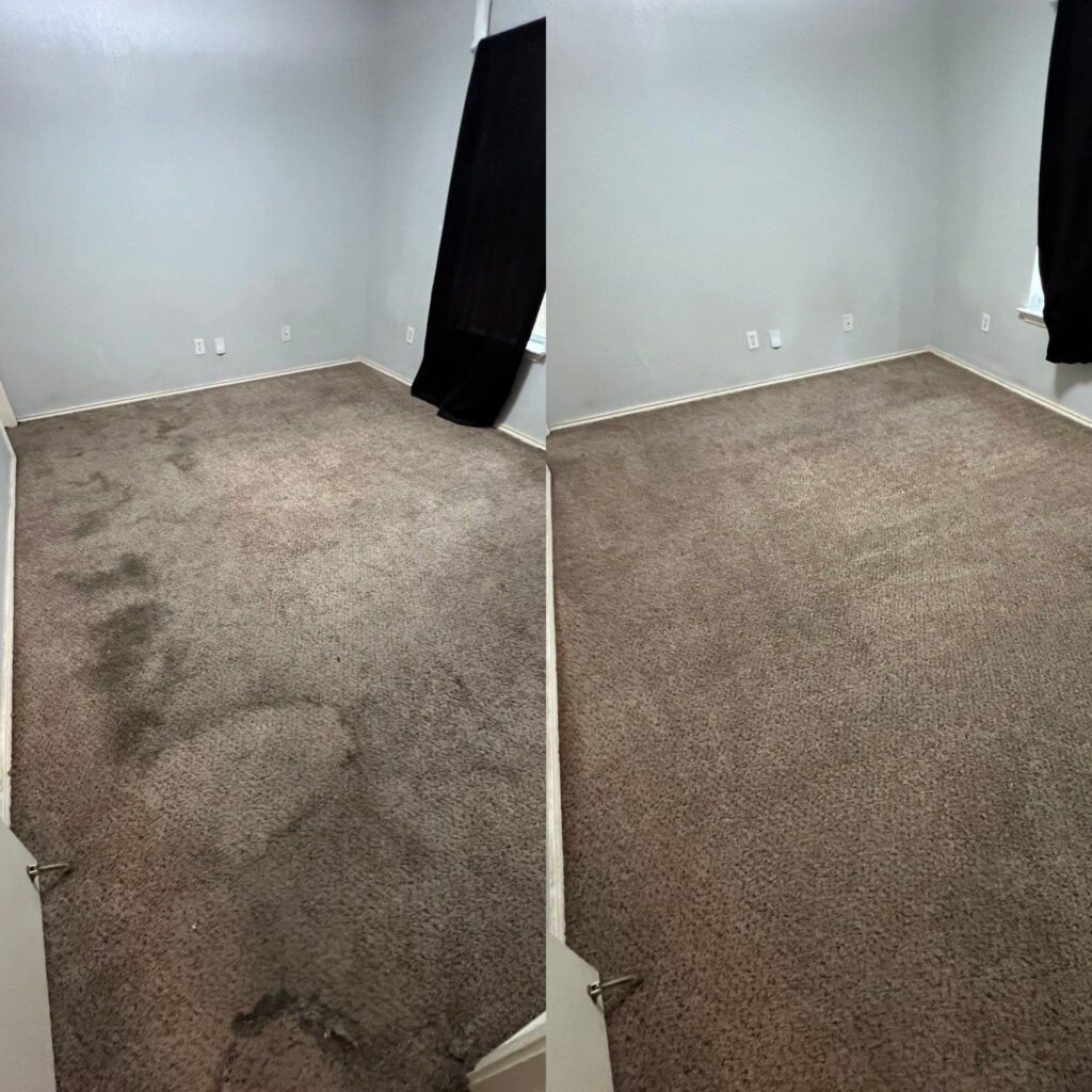 Drink Stain Carpet Cleaning Project in San Antonio TX 78242