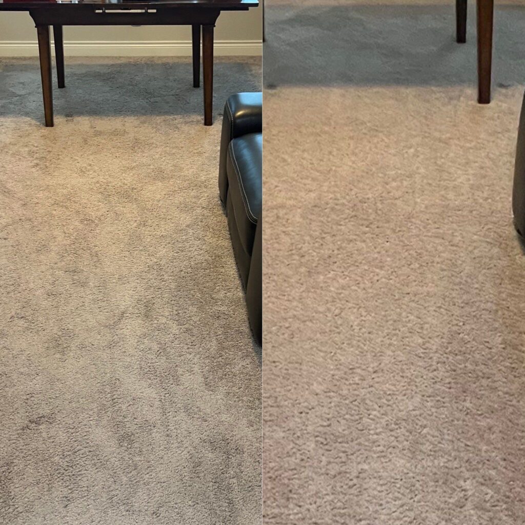 Carpet Cleaning Project in San Antonio TX 78260