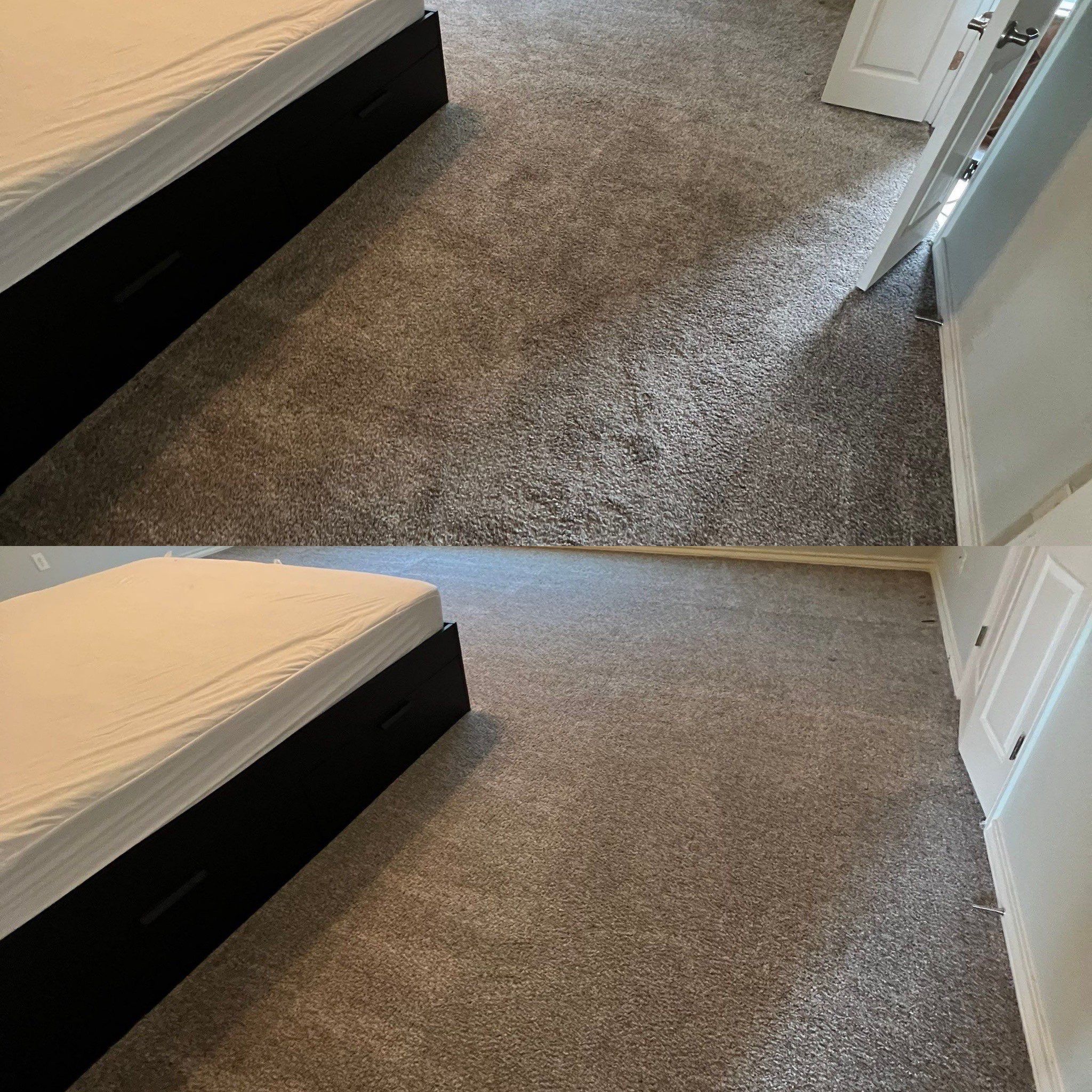 Carpet Steam Cleaning Project in Marion TX 78124