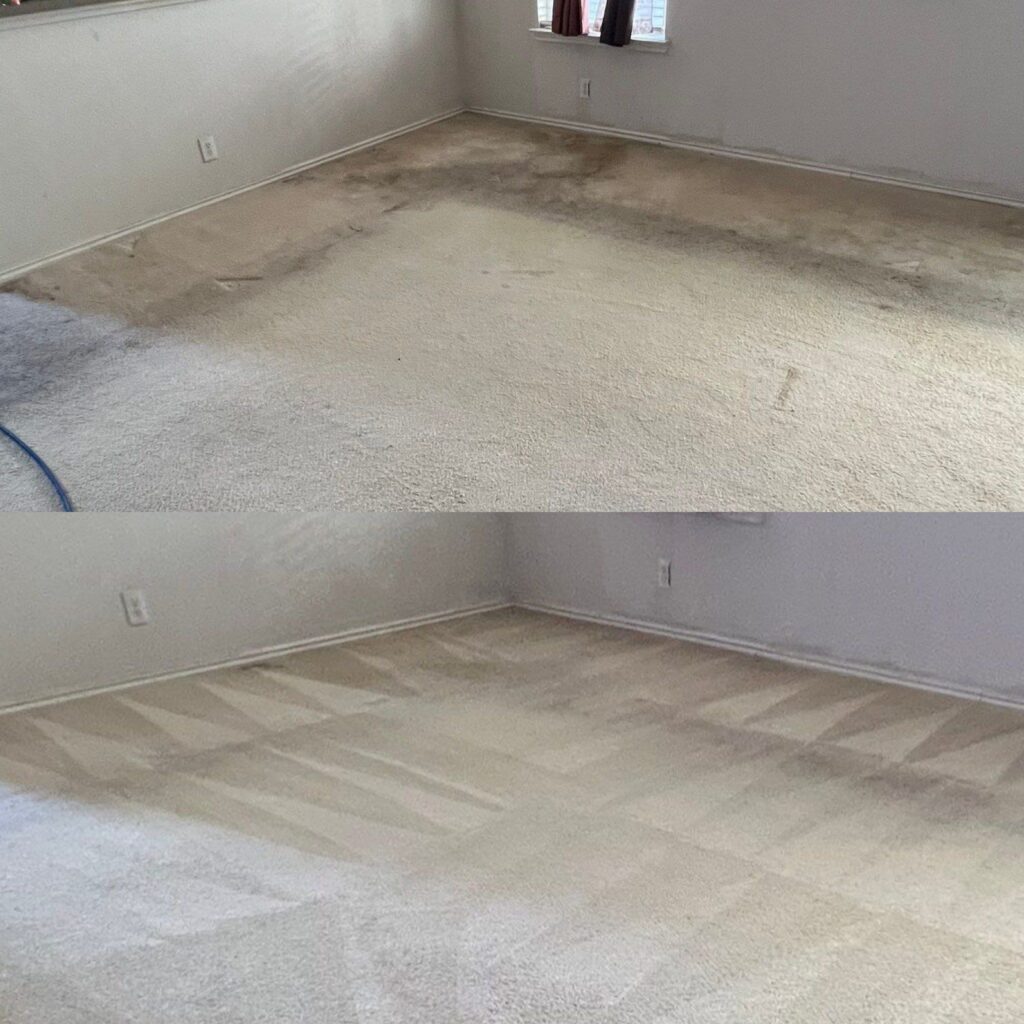 Carpet Steam Cleaning Project in San Antonio TX 78245